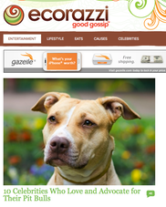 Celebs Who Love Their Pit Bulls
